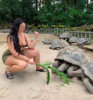 Kesintisiz bir zevk verecek Perik