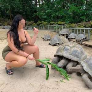 Kesintisiz bir zevk verecek Perik